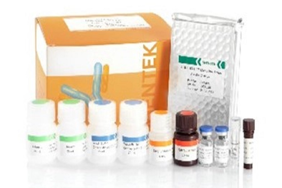 بروتين الخلية المضيفة HCP ELISA طريقة التحليل مقدمة