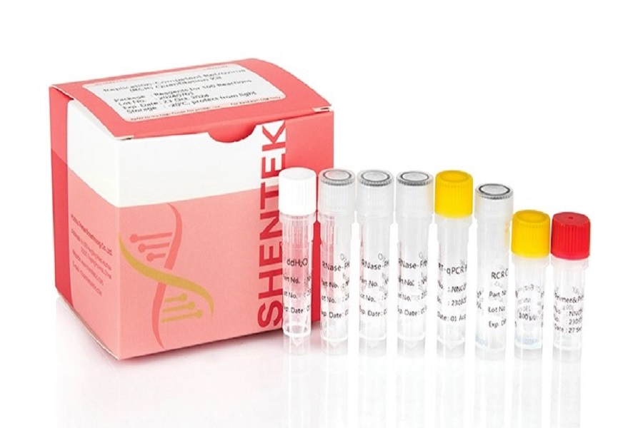 الطرق الرئيسية لاختبار RCR