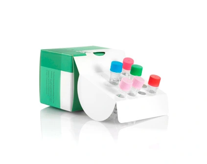 مجموعة استخلاص الحمض النووي الفطري والبكتيريا