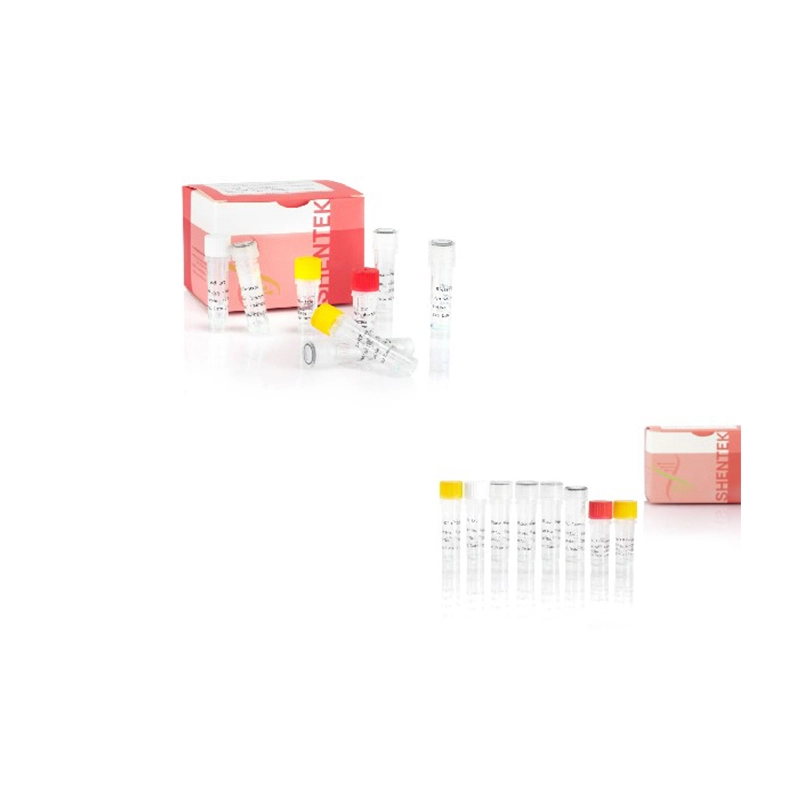 النسخ المتماثل-كمية الفيروسات المختصة