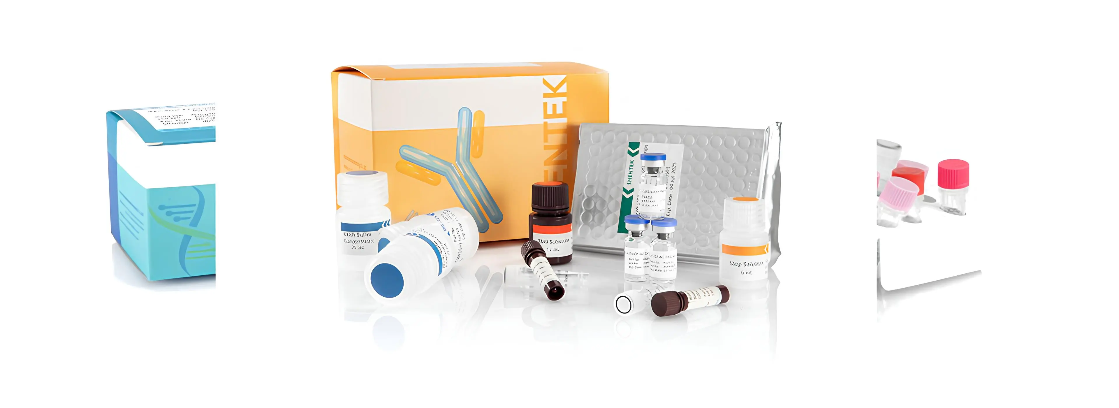 عملية فحص النجاسة