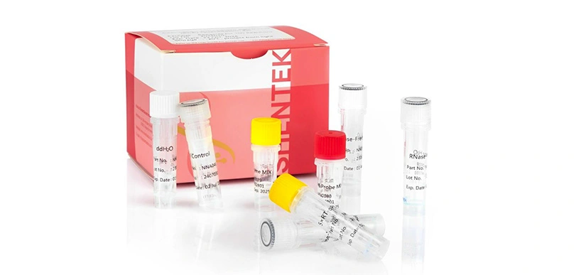 النسخ المتماثل-كمية الفيروسات المختصة