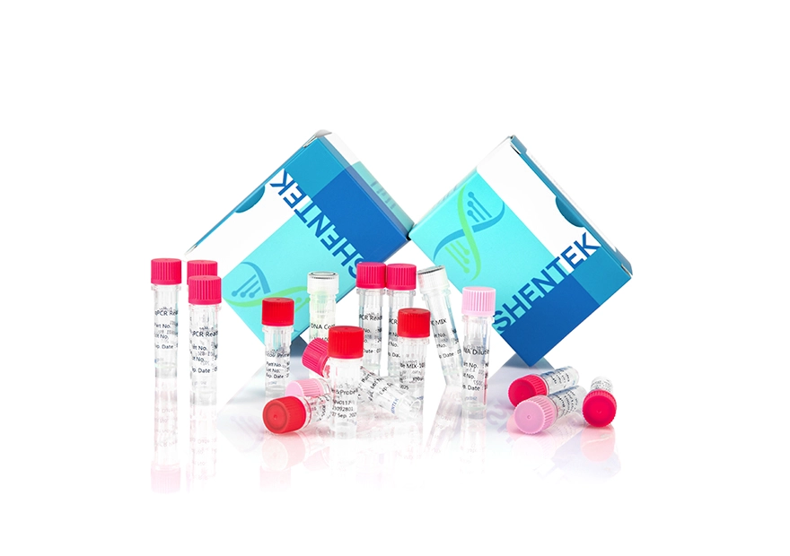 طقم تحليل حجم الحمض النووي المتبقي E. coli (2 جم)