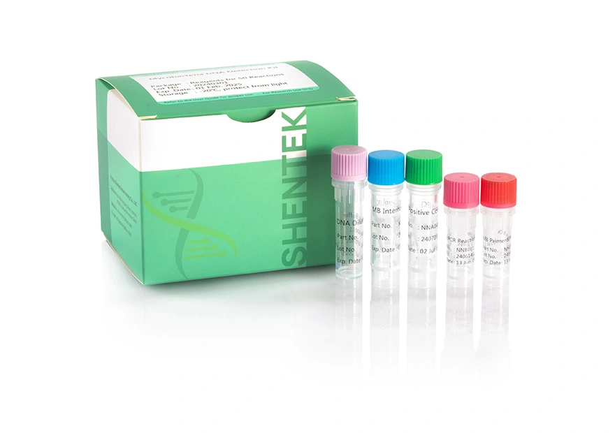 مجموعة الكشف عن Mycobacteria DNA