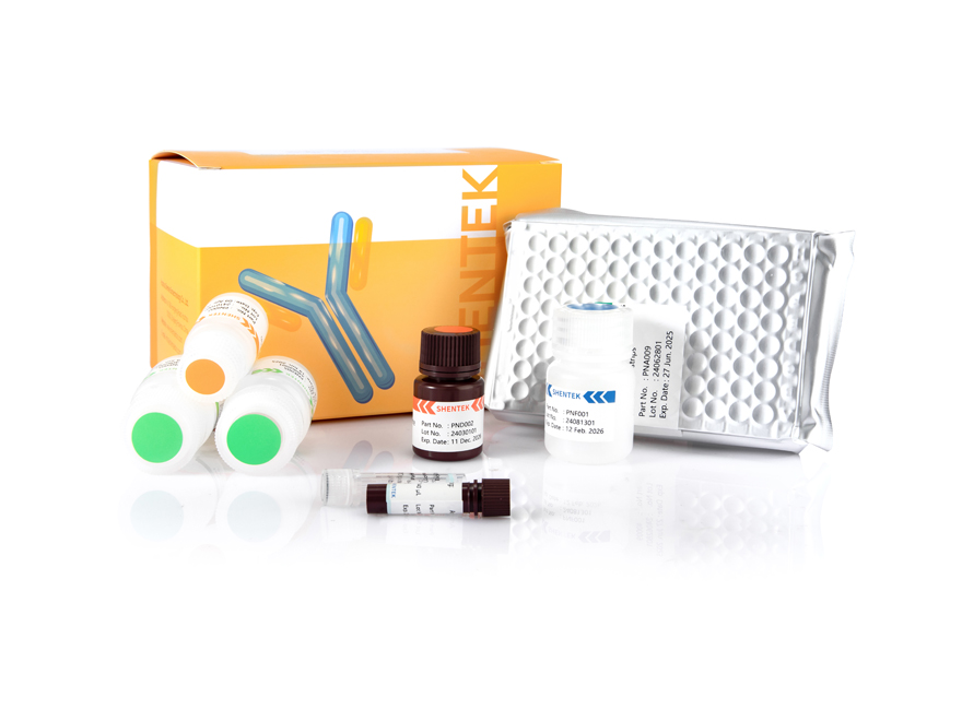 CHO K1 HCP ELISA Kit (إليسا خطوة واحدة)