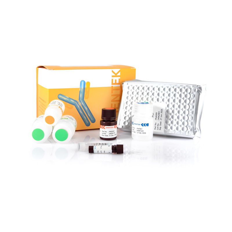 CHO K1 HCP ELISA Kit (إليسا خطوة واحدة)