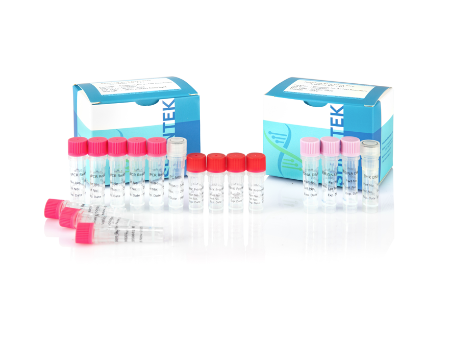 طقم تحليل حجم BHK DNA المتبقي