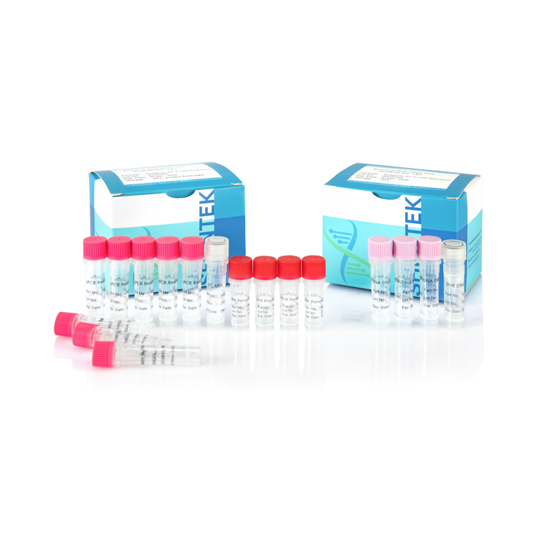 طقم تحليل حجم BHK DNA المتبقي