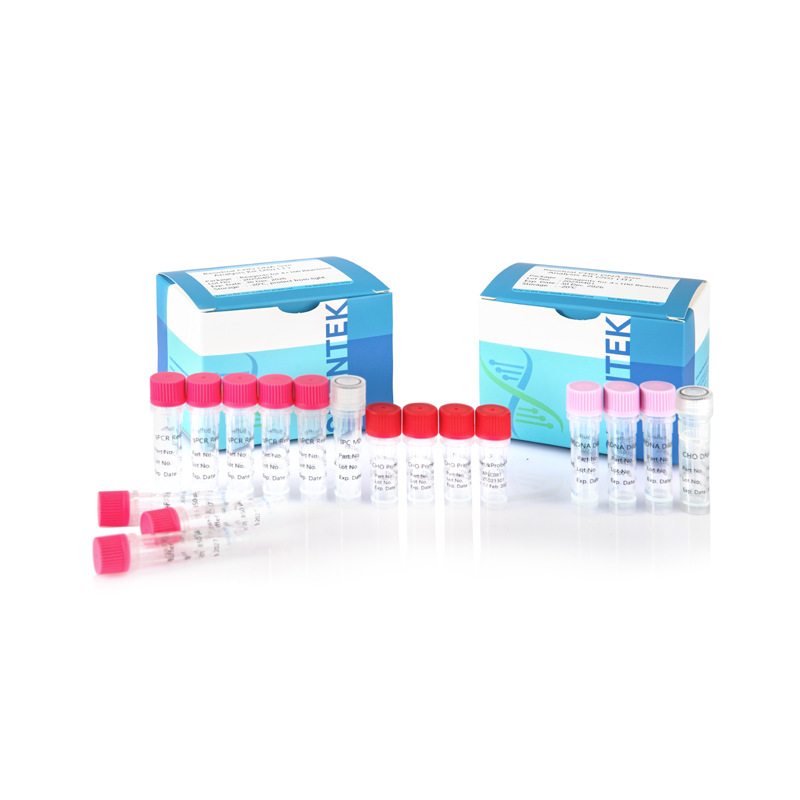 طقم تحليل حجم CHO DNA المتبقي (2 جم)