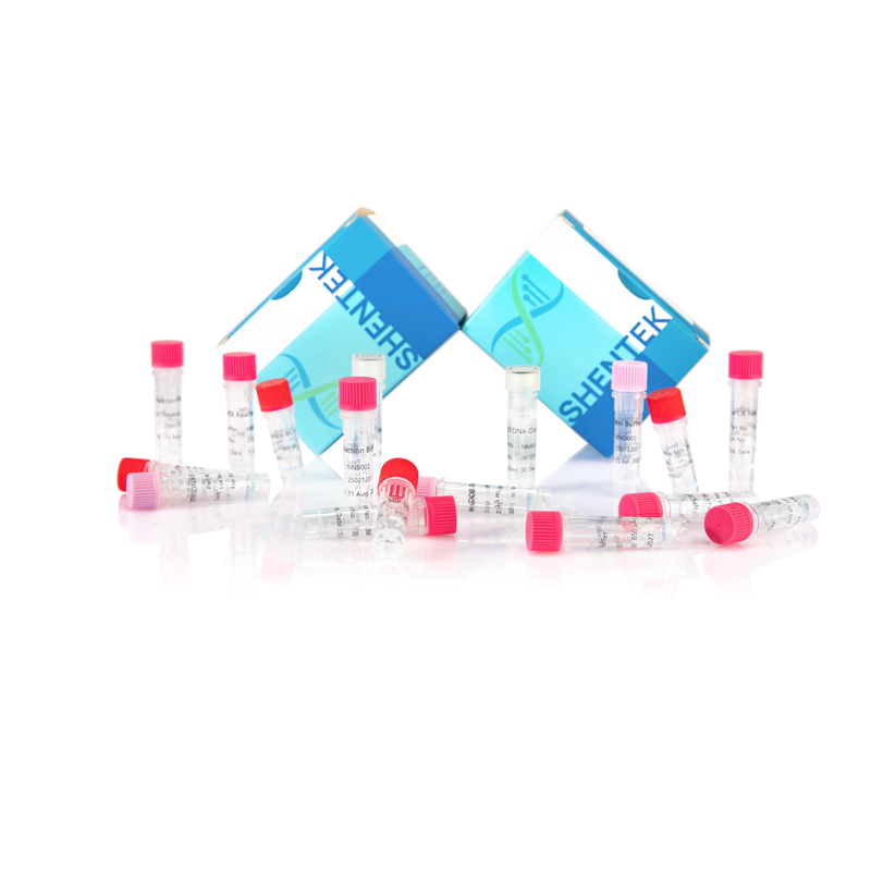 طقم تحليل حجم CHO DNA المتبقي (2 جم)