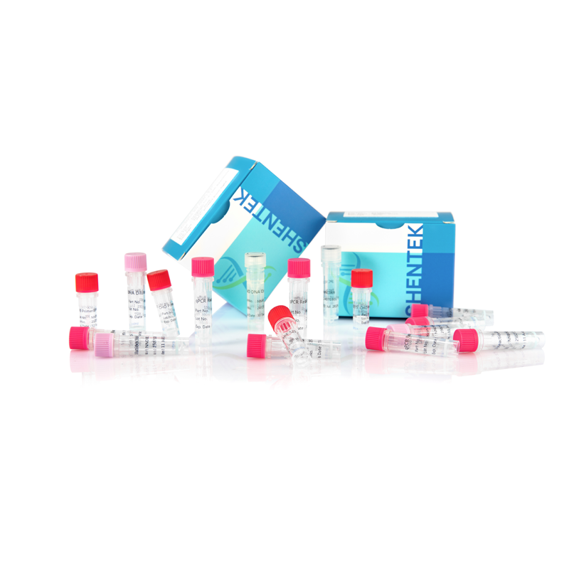 طقم تحليل حجم CHO DNA المتبقي (2 جم)