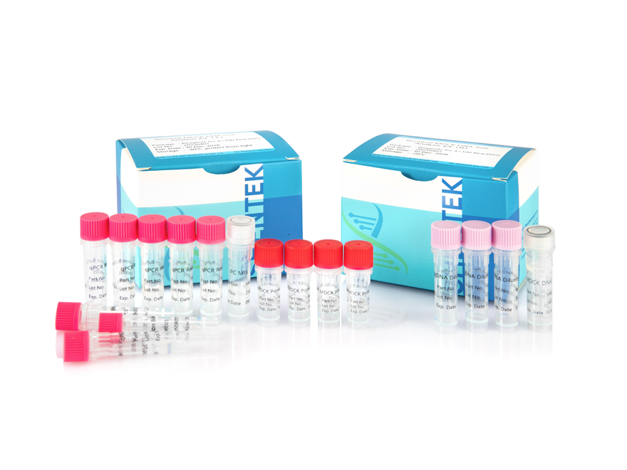 طقم تحليل حجم MDCK DNA المتبقي