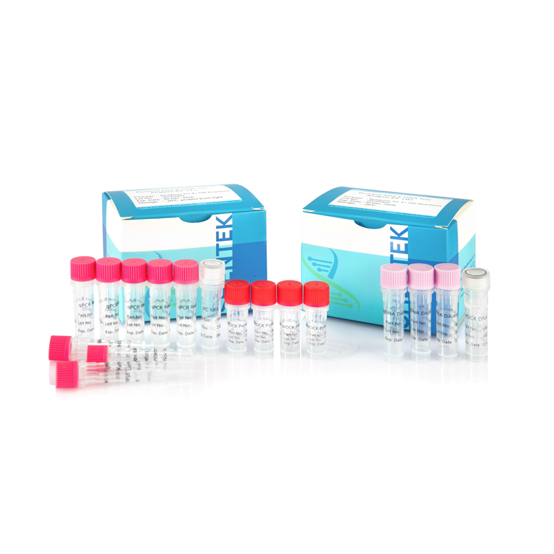 طقم تحليل حجم MDCK DNA المتبقي