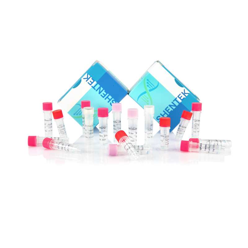 طقم تحليل حجم MDCK DNA المتبقي