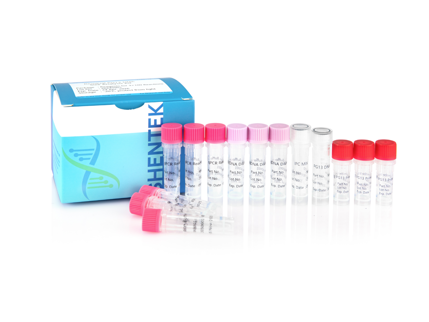 طقم تحليل حجم الحمض النووي PG13 المتبقي