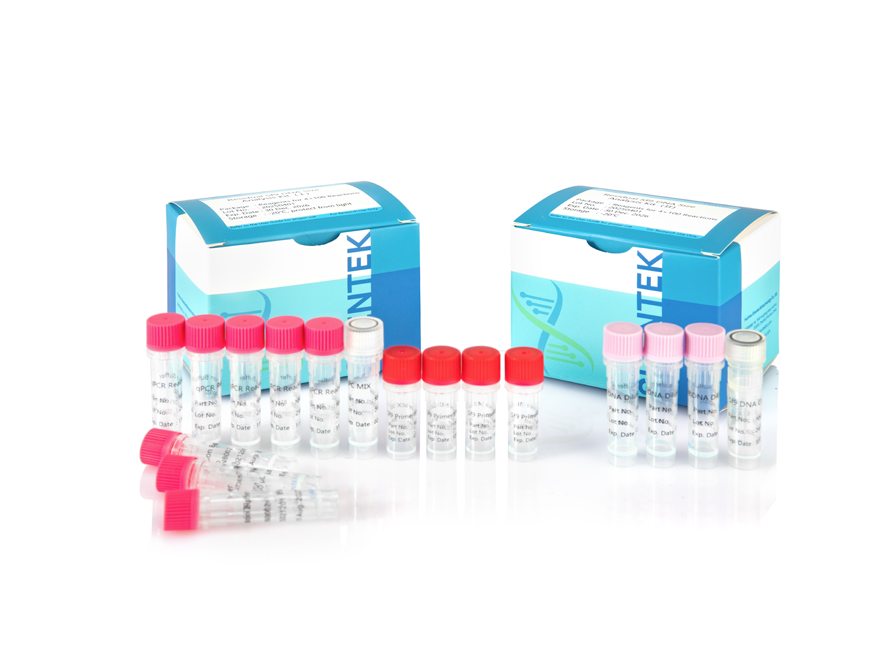 طقم تحليل حجم الحمض النووي المتبقي Sf9