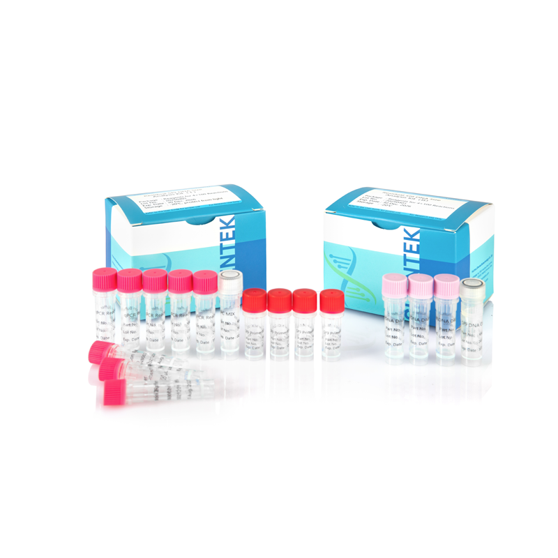 طقم تحليل حجم الحمض النووي المتبقي Sf9