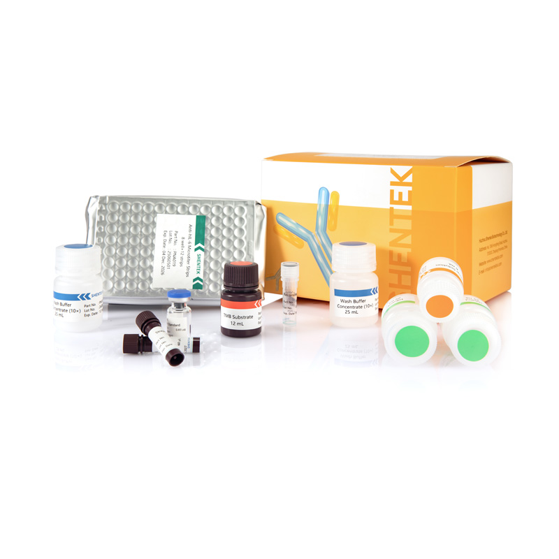 مجموعة بشرية من إليسا